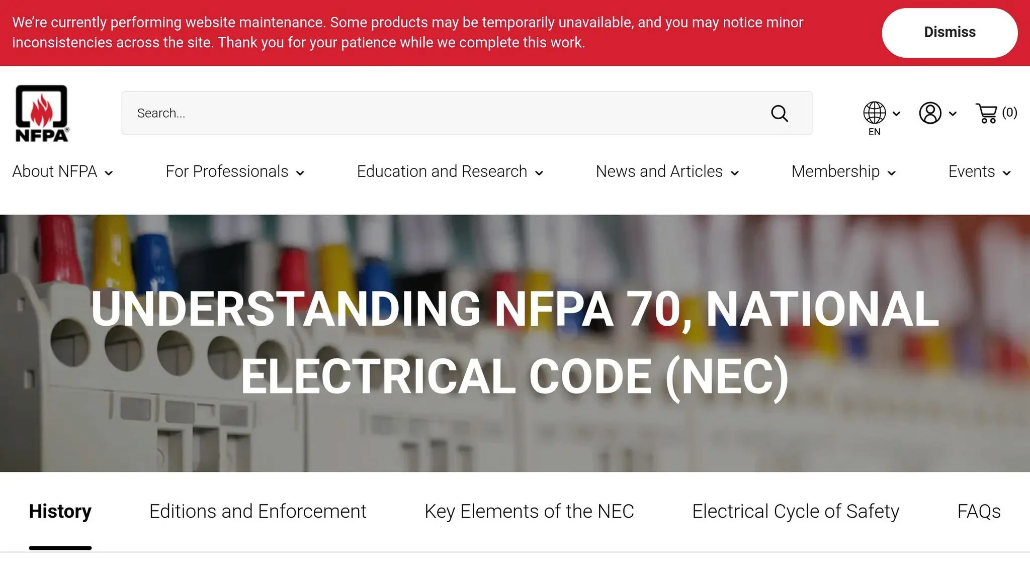 NEC